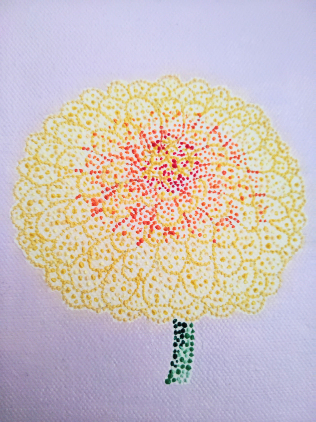“Zinnia”