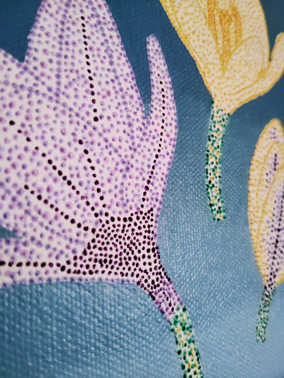 “Crocus”