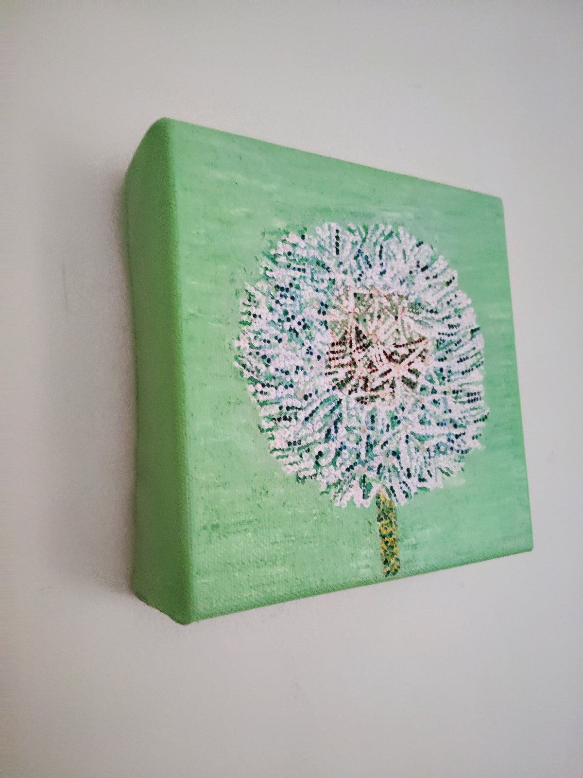 “Dandelion”