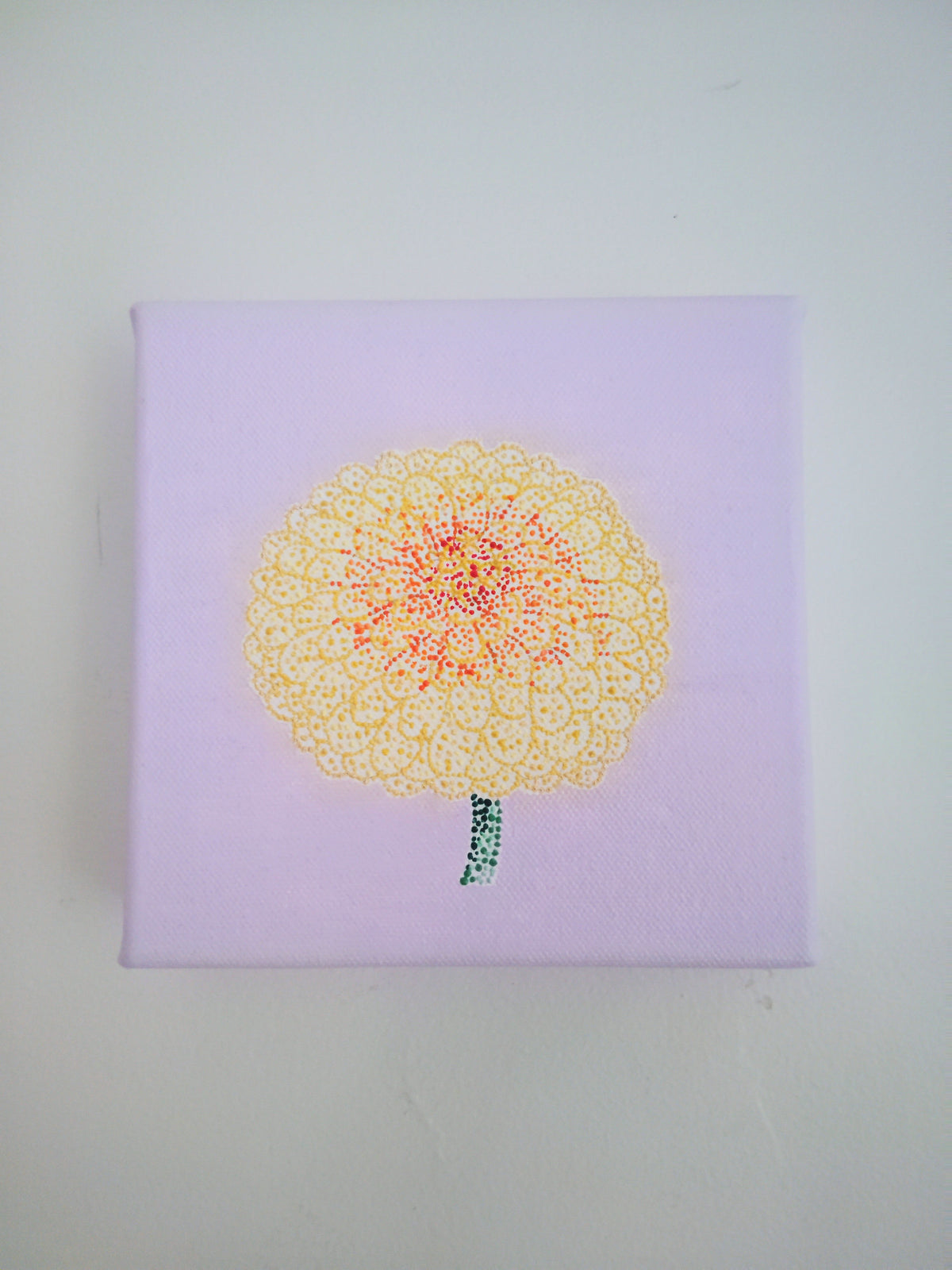 “Zinnia”