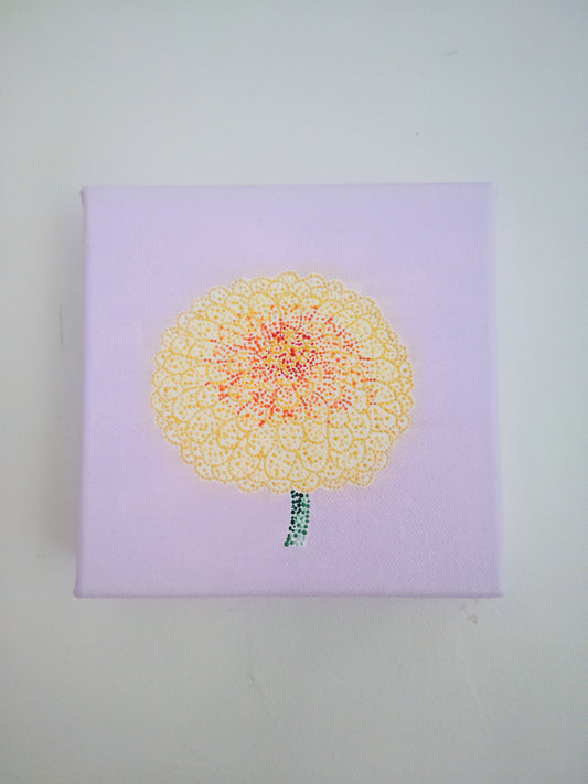 “Zinnia”