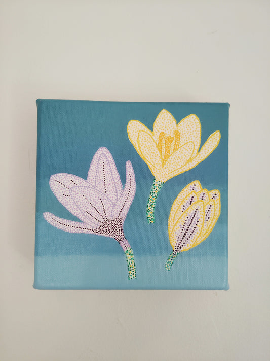 “Crocus”
